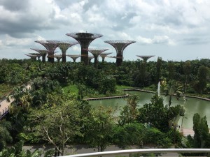 Marina Bay Gardens